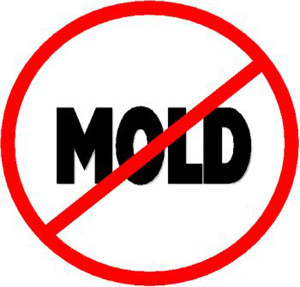 fight-mold-allergies